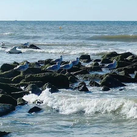 Apartmán Recent Vernieuwd Met Zeezicht En Gratis Parkeerplaats Koksijde